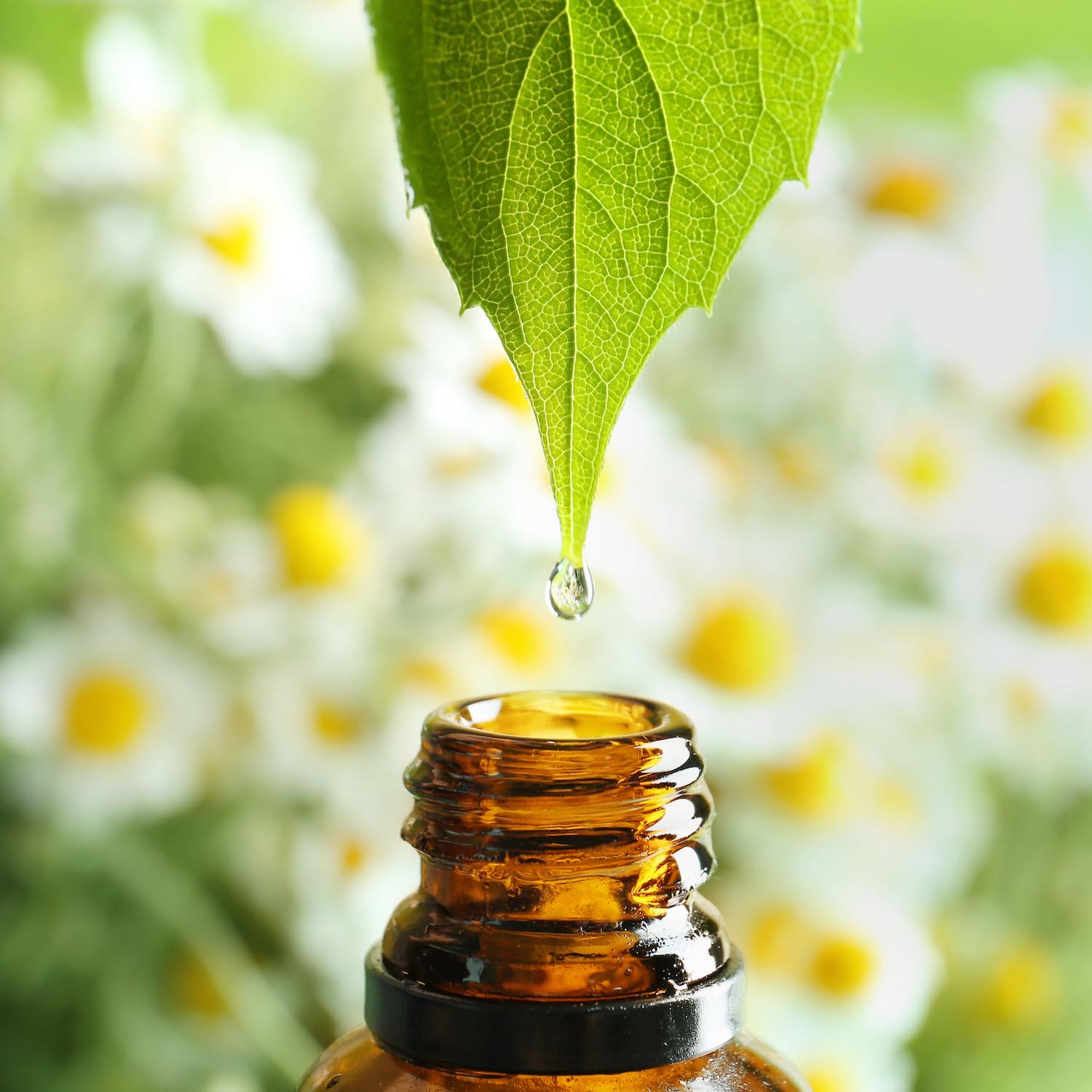 Aromathérapie 5 Aromathérapie et huiles essentielles, Pharmacie de Genilac, Genilac